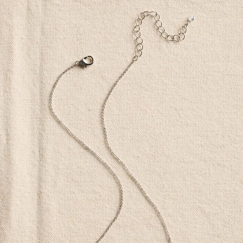 NWT Free People FP Signature Spinner Necklace in Silver